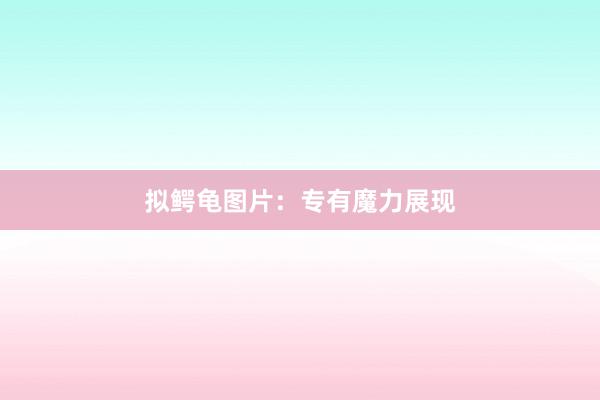 拟鳄龟图片:专有魔力展现