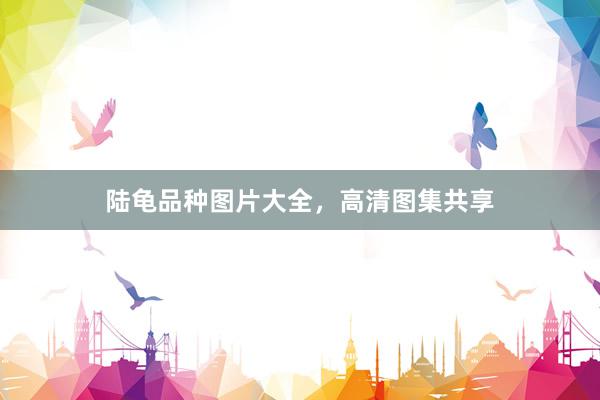 陆龟品种图片大全，高清图集共享