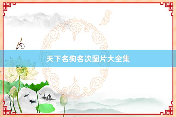 天下名狗名次图片大全集